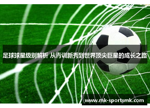 足球球星级别解析 从青训新秀到世界顶尖巨星的成长之路