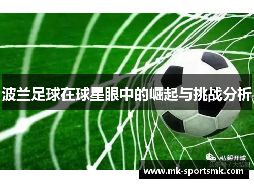 波兰足球在球星眼中的崛起与挑战分析